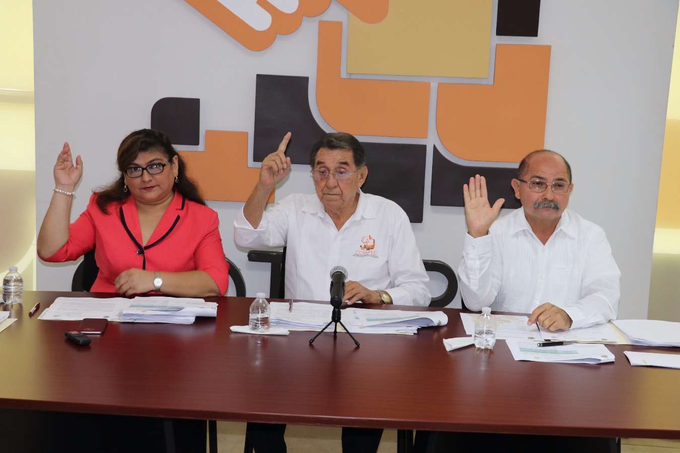 modulos/noticias/archivos/430/files/IMG_9316.JPG