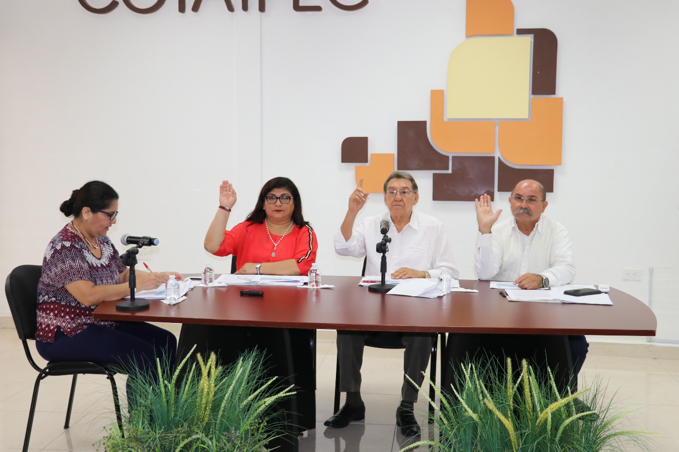 modulos/noticias/archivos/456/files/IMG_9809.JPG
