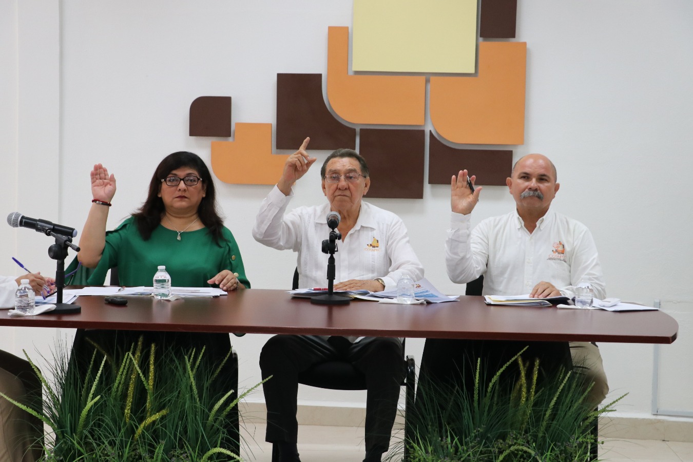 modulos/noticias/archivos/460/files/IMG_2449.JPG