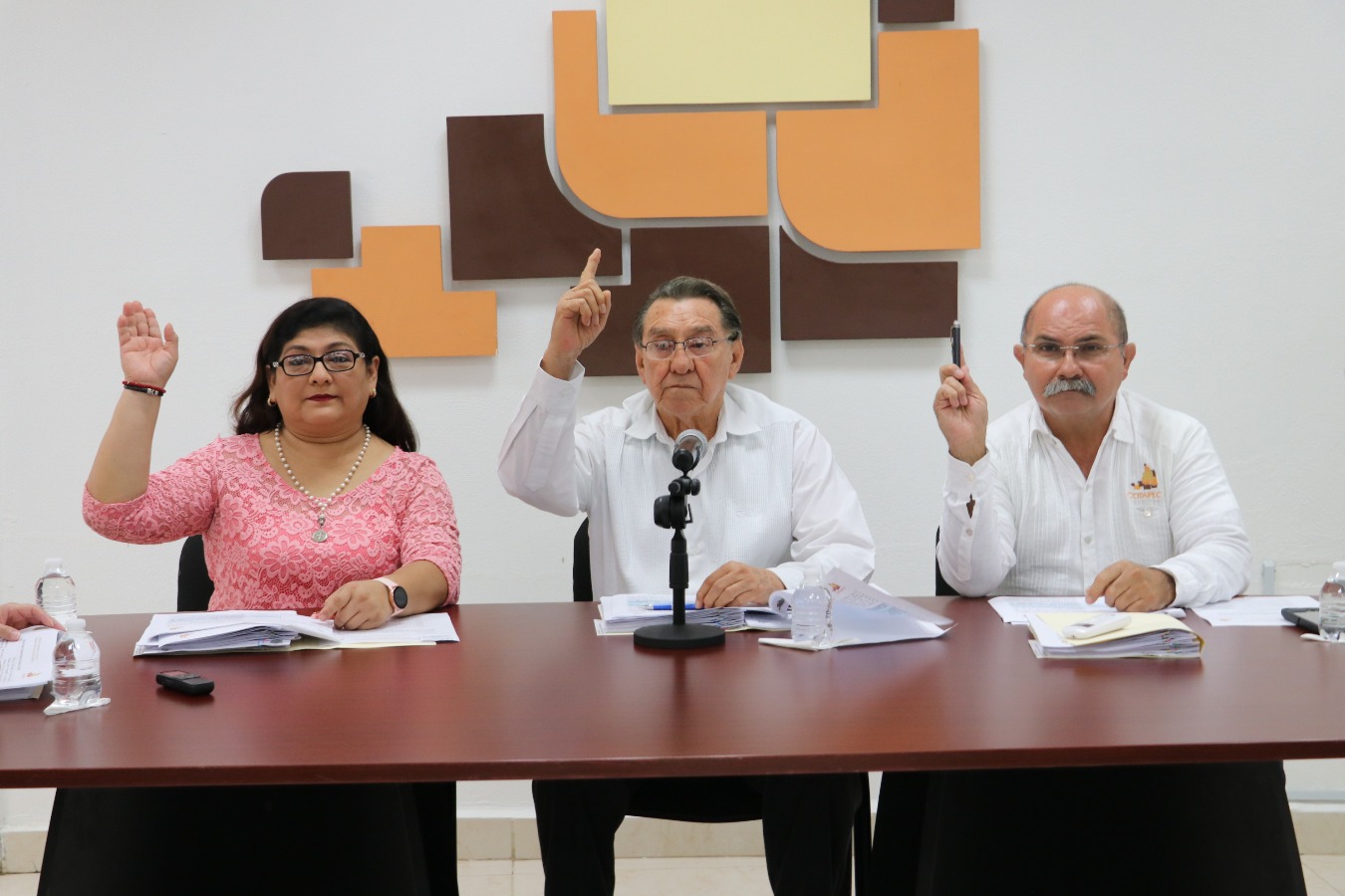 modulos/noticias/archivos/462/files/IMG_2795.JPG