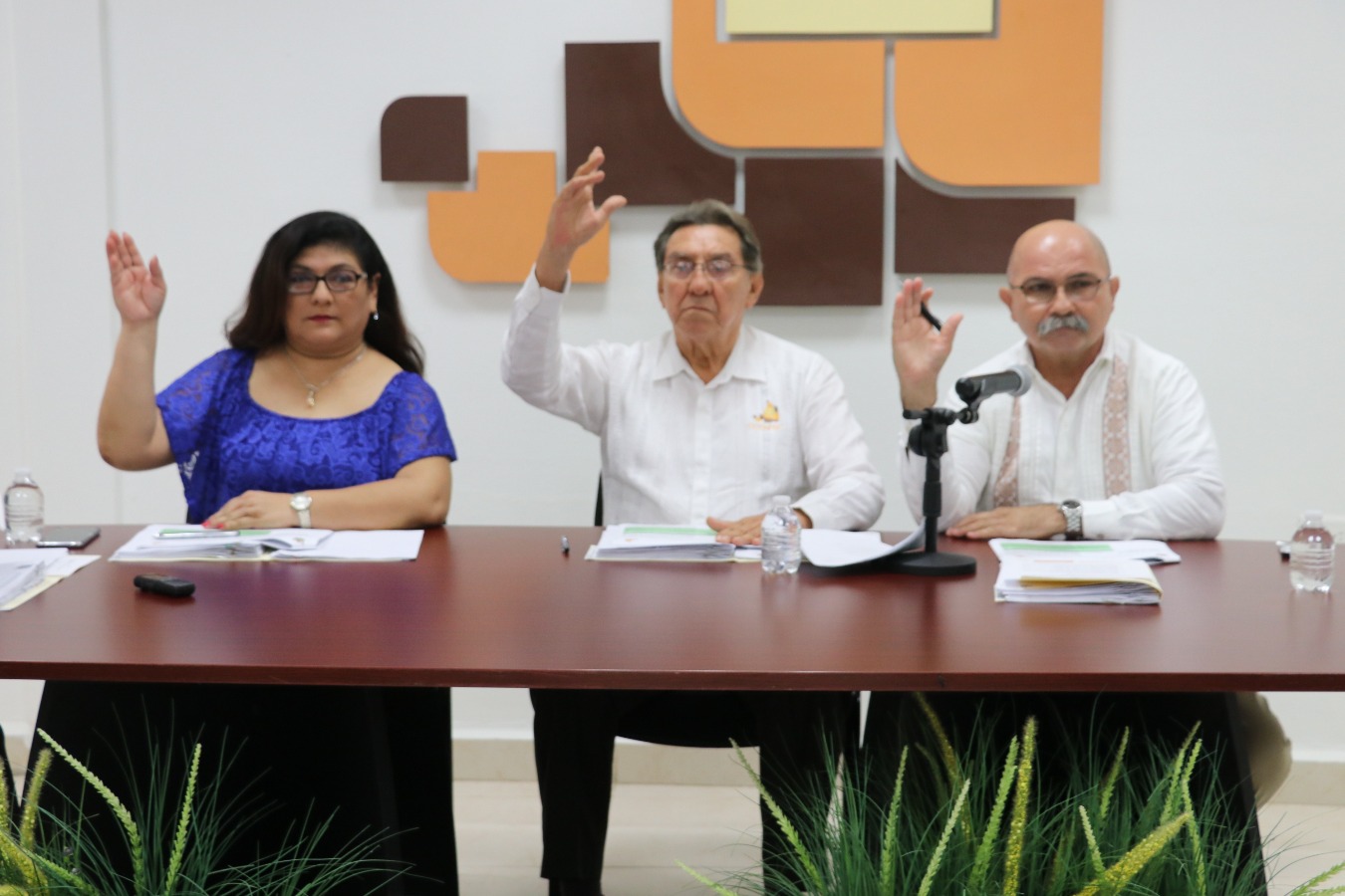 modulos/noticias/archivos/465/files/IMG_3608.JPG