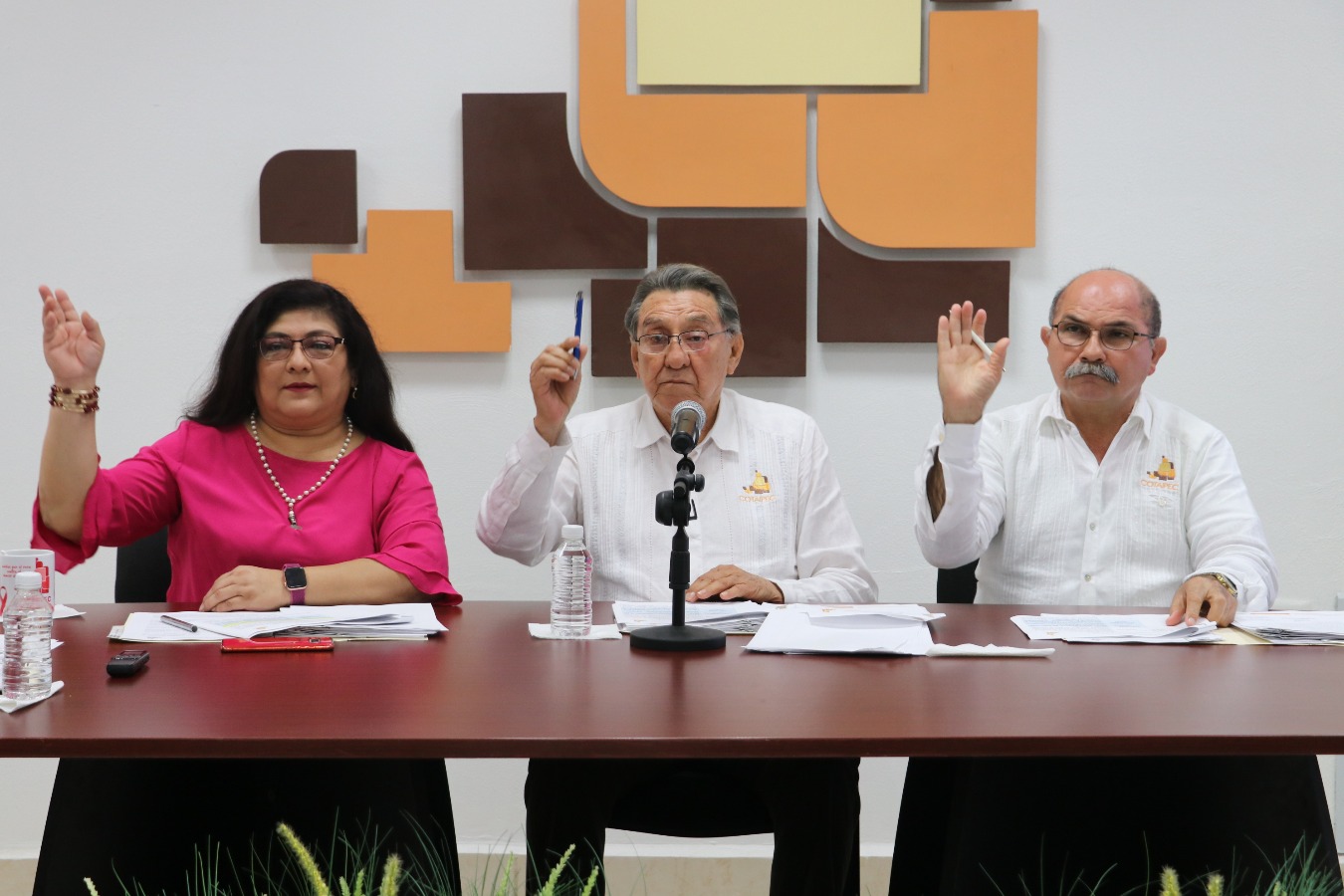 modulos/noticias/archivos/483/files/IMG_6937.JPG