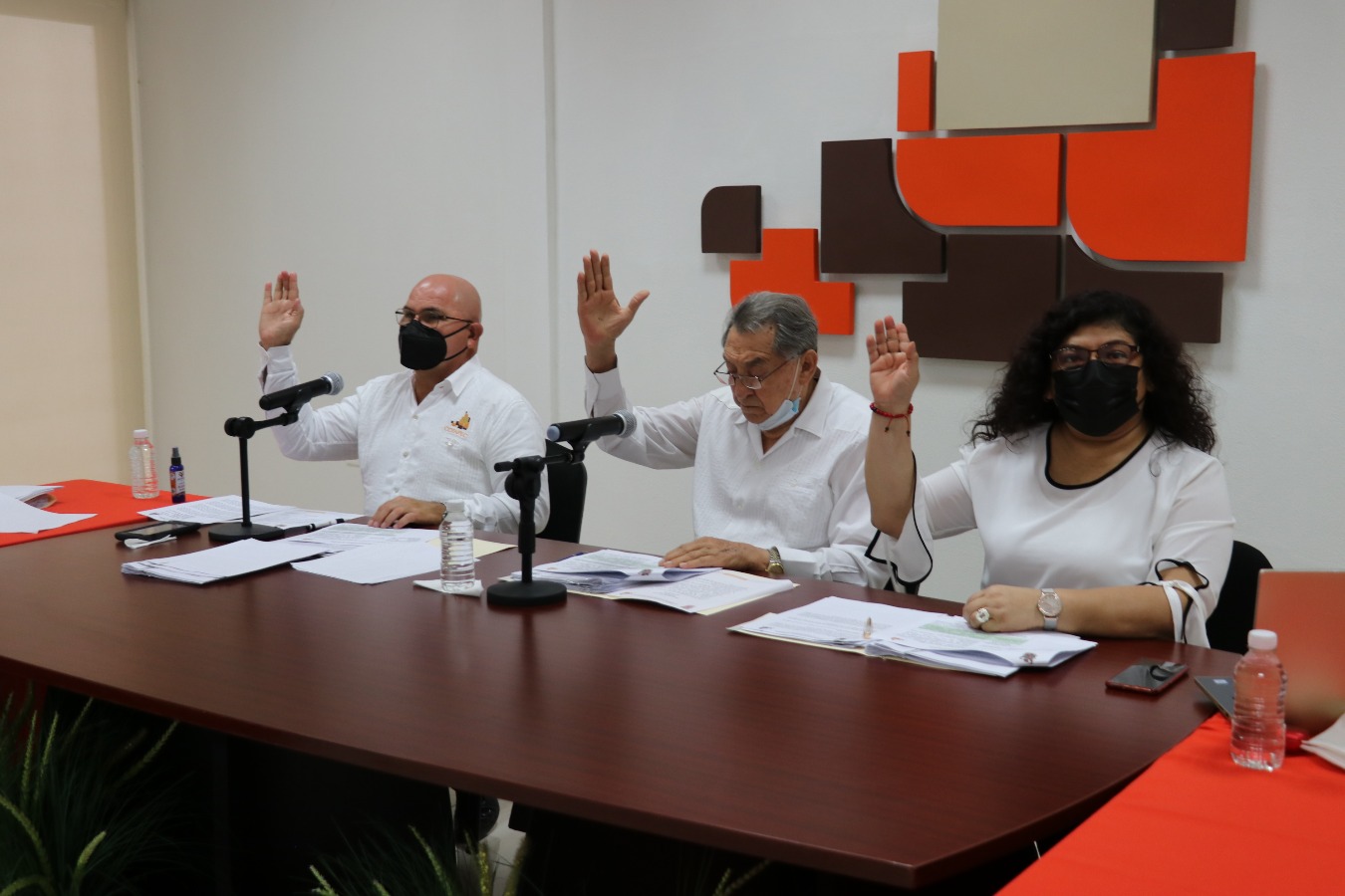 modulos/noticias/archivos/526/files/IMG_9062.JPG